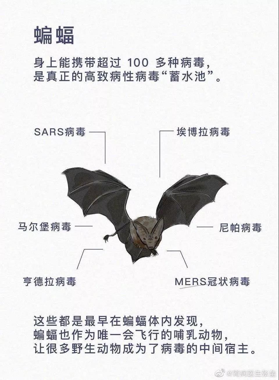 這10道與疫情有關(guān)的作業(yè)題，你的孩子會如何作答？