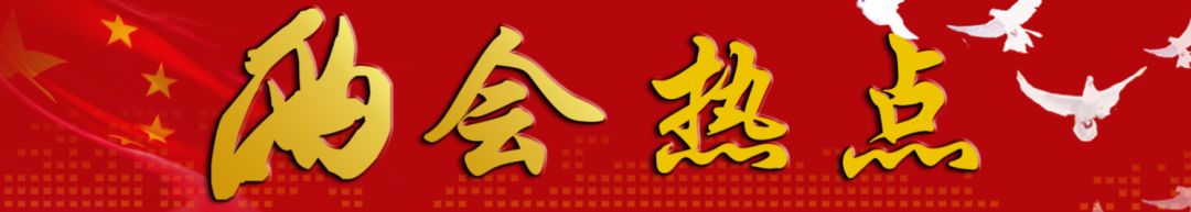 與你相關(guān)！政府工作報告釋放了什么教育信號？聽代表委員為你解讀 | 兩會熱點