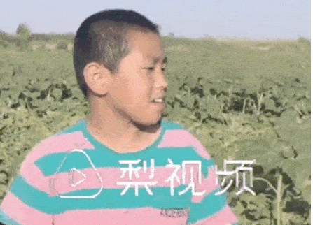 這位11歲男孩的暑假生活，被網(wǎng)友狂贊
